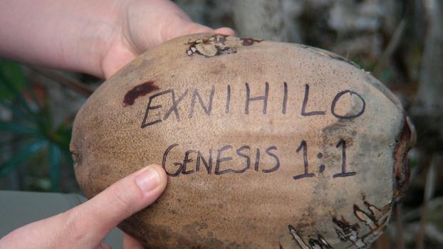 The Exnihilo Coconut - starting at the beginning